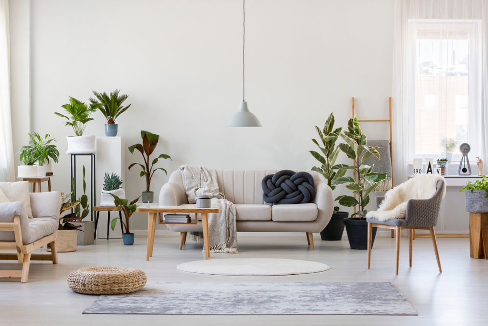 How To Display Living Room Indoor Plants