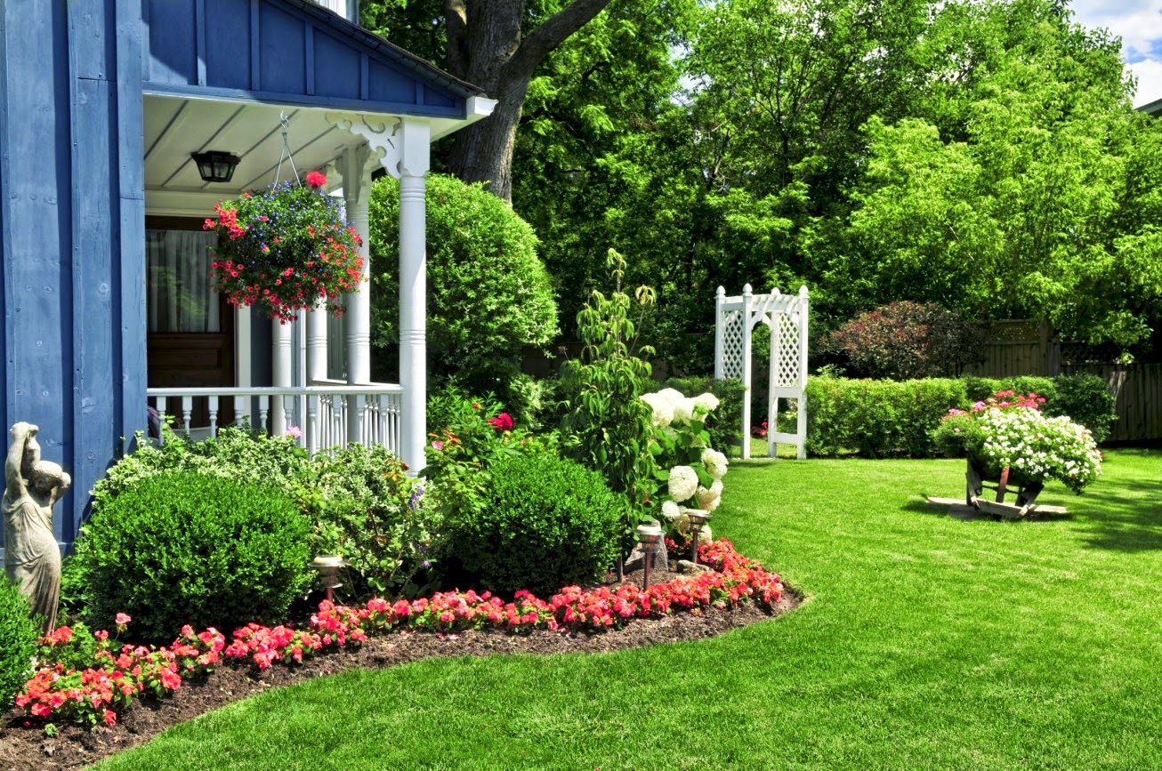 The Best Method And Tricks to Have a Beautiful Garden